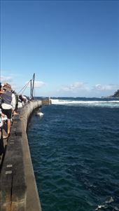 by kiwiaoraki, Views[70]