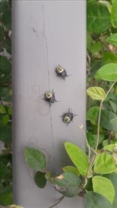 by kiwiaoraki, Views[68]