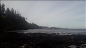 by kiwiaoraki, Views[55]