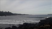 by kiwiaoraki, Views[88]