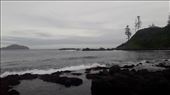by kiwiaoraki, Views[63]