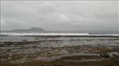 by kiwiaoraki, Views[72]