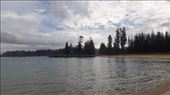 by kiwiaoraki, Views[95]