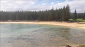 by kiwiaoraki, Views[114]