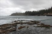 by kiwiaoraki, Views[134]