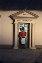 by kiwiaoraki, Views[86]