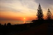 by kiwiaoraki, Views[71]