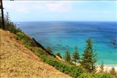 by kiwiaoraki, Views[68]