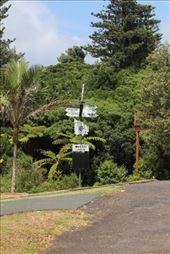 by kiwiaoraki, Views[87]