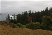 by kiwiaoraki, Views[107]