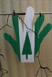 by kiwiaoraki, Views[92]