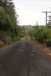 by kiwiaoraki, Views[84]