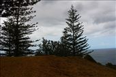 by kiwiaoraki, Views[116]