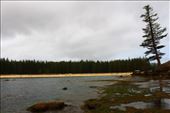 by kiwiaoraki, Views[76]