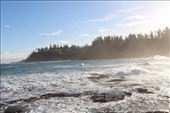 by kiwiaoraki, Views[126]