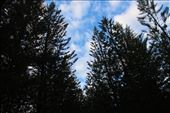 by kiwiaoraki, Views[136]