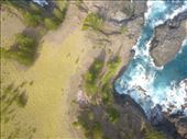 by kiwiaoraki, Views[106]