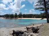 by kiwiaoraki, Views[71]
