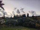 by kiwiaoraki, Views[89]