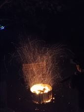 by kiwiaoraki, Views[72]