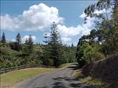 by kiwiaoraki, Views[53]