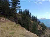 by kiwiaoraki, Views[86]