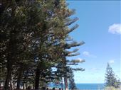 by kiwiaoraki, Views[48]