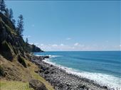 by kiwiaoraki, Views[78]