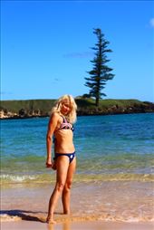 by kiwiaoraki, Views[251]