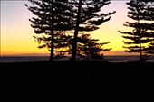 by kiwiaoraki, Views[156]