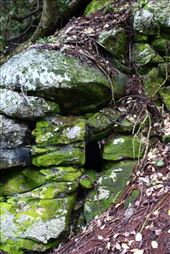 by kiwiaoraki, Views[187]