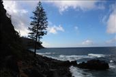 by kiwiaoraki, Views[302]