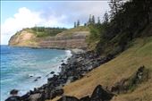 by kiwiaoraki, Views[253]