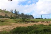 by kiwiaoraki, Views[297]