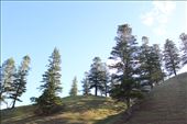 by kiwiaoraki, Views[432]