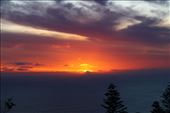 by kiwiaoraki, Views[122]