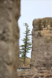 by kiwiaoraki, Views[150]