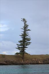 by kiwiaoraki, Views[131]