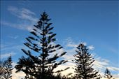by kiwiaoraki, Views[169]
