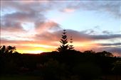 by kiwiaoraki, Views[149]
