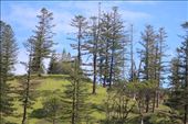 by kiwiaoraki, Views[107]