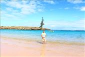 by kiwiaoraki, Views[175]