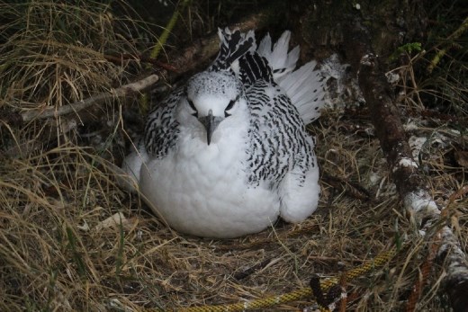 I'm as angry as her! 