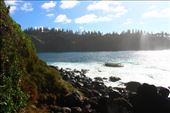 by kiwiaoraki, Views[236]