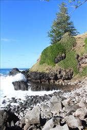 by kiwiaoraki, Views[259]