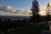 by kiwiaoraki, Views[393]