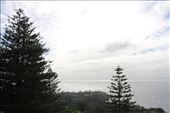 by kiwiaoraki, Views[142]