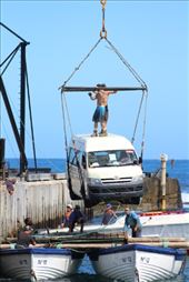 by kiwiaoraki, Views[120]