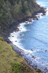 by kiwiaoraki, Views[130]