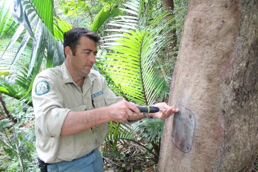 Joel opening a parrot's nest